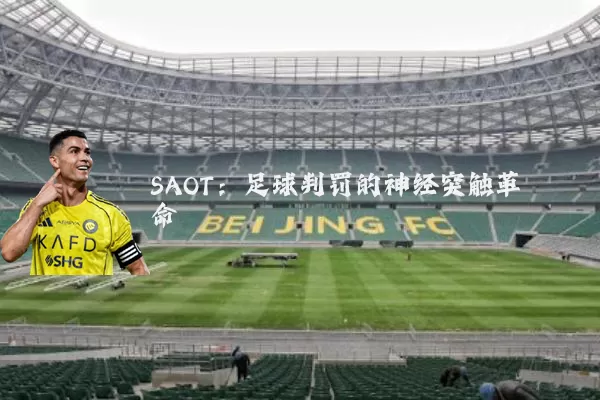SAOT:足球判罚的神经突触革命